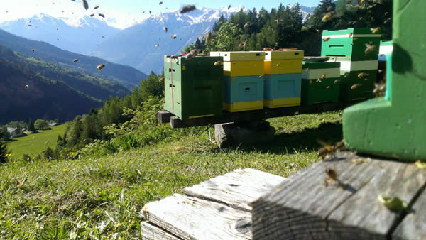 Beuten am Grundkurs